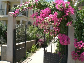 Alif Apartments Fethiye